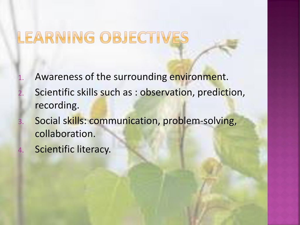 Learning objectives Awareness of the surrounding environment.