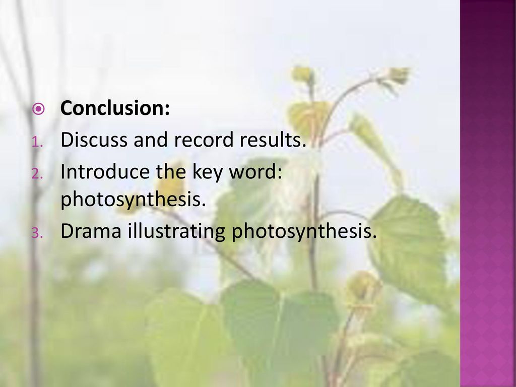 Conclusion: Discuss and record results. Introduce the key word: photosynthesis.