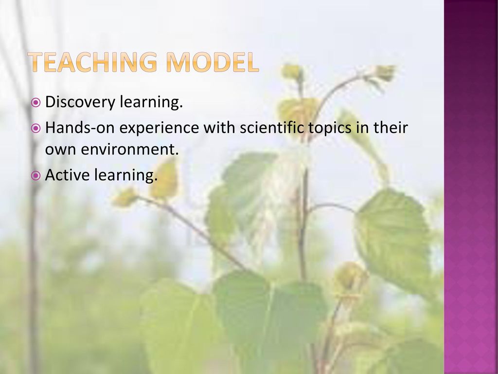 Teaching model Discovery learning.