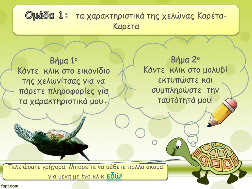Ομάδα 1: τα χαρακτηριστικά της χελώνας Καρέτα-Καρέτα