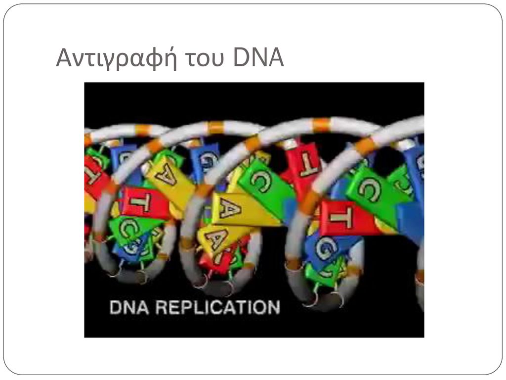 Αντιγραφή του DNA