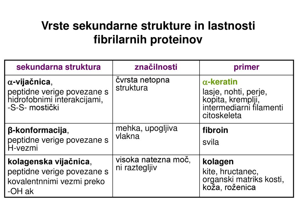 Vrste sekundarne strukture in lastnosti fibrilarnih proteinov