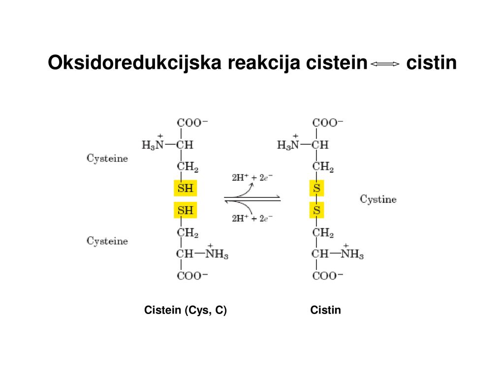 Oksidoredukcijska reakcija cistein cistin