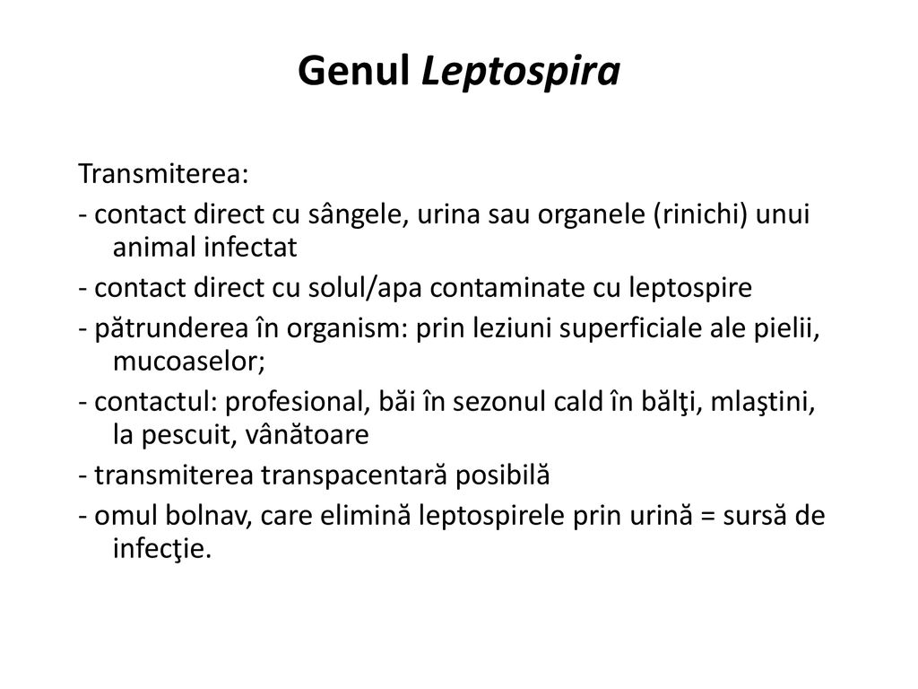 Genul Leptospira