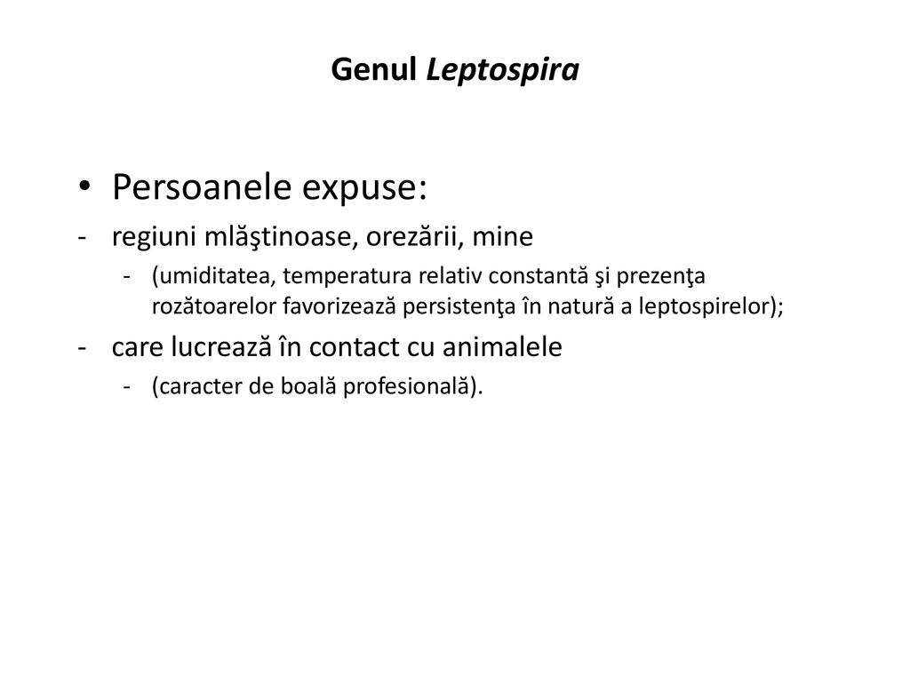 Persoanele expuse: Genul Leptospira