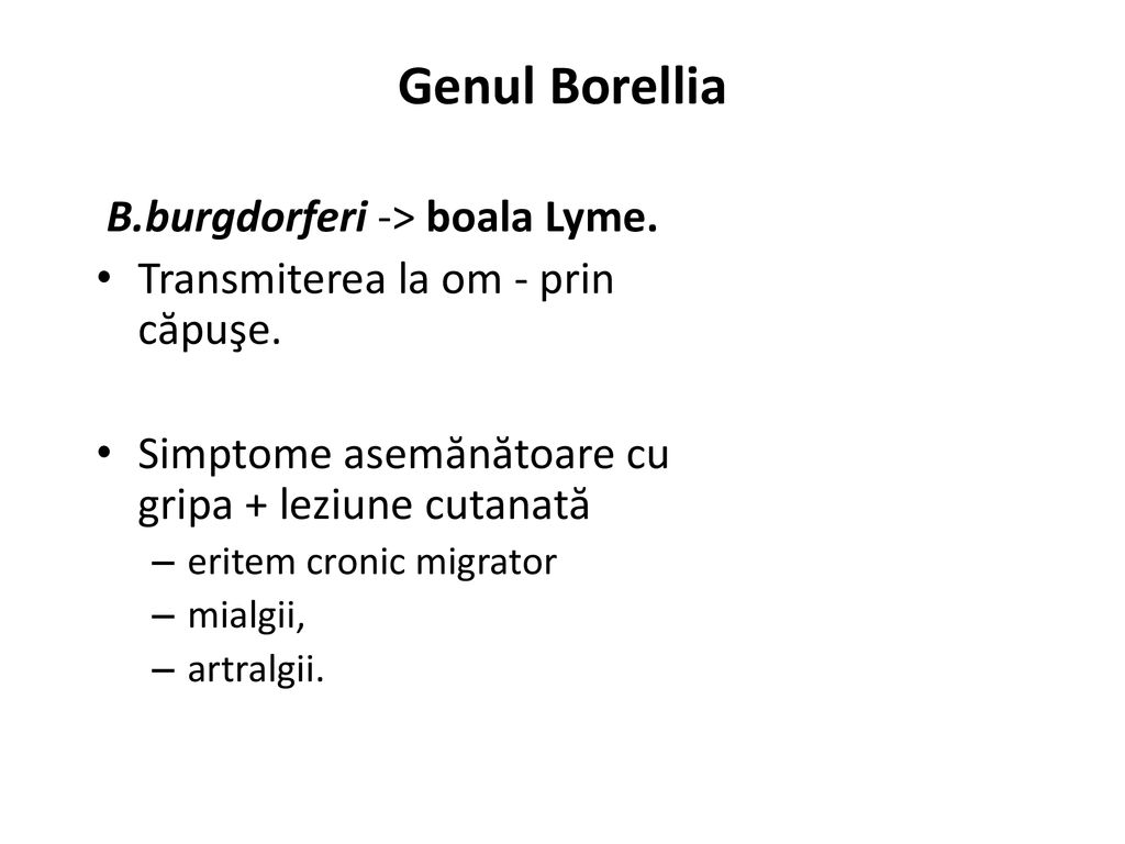 Genul Borellia B.burgdorferi -> boala Lyme.