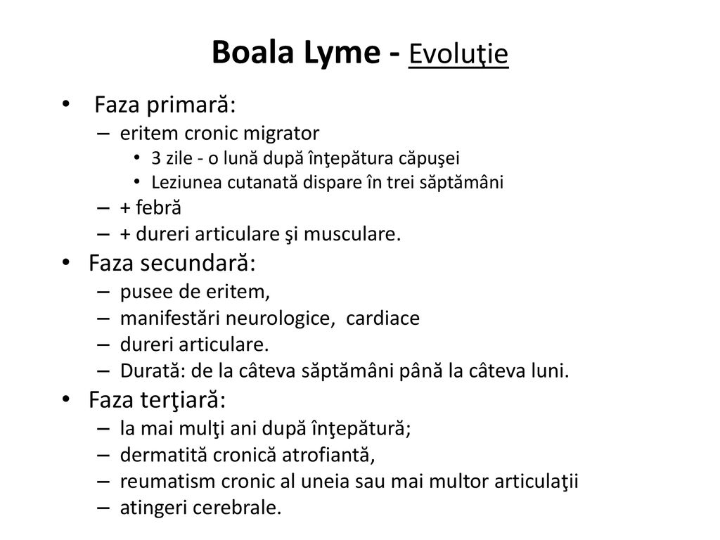 Boala Lyme - Evoluţie Faza primară: Faza secundară: Faza terţiară: