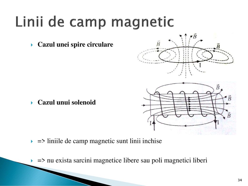 Linii de camp magnetic Cazul unei spire circulare Cazul unui solenoid