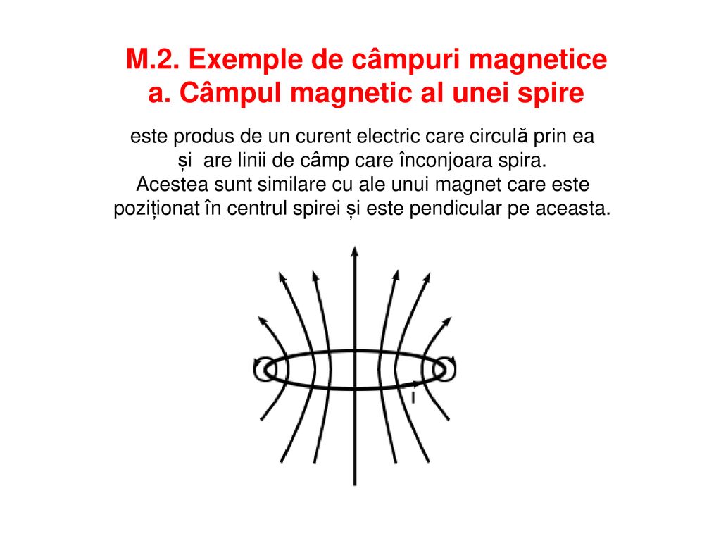 M.2. Exemple de câmpuri magnetice a. Câmpul magnetic al unei spire