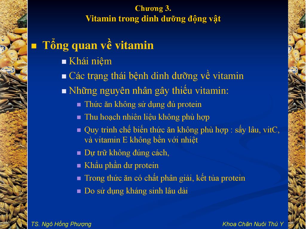 Chương 3. Vitamin trong dinh dưỡng động vật