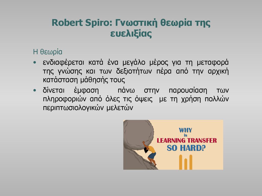 Robert Spiro: Γνωστική θεωρία της ευελιξίας