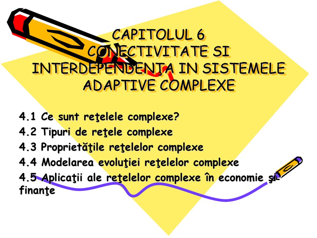 CAPITOLUL 6 CONECTIVITATE SI INTERDEPENDENŢA IN SISTEMELE ADAPTIVE COMPLEXE