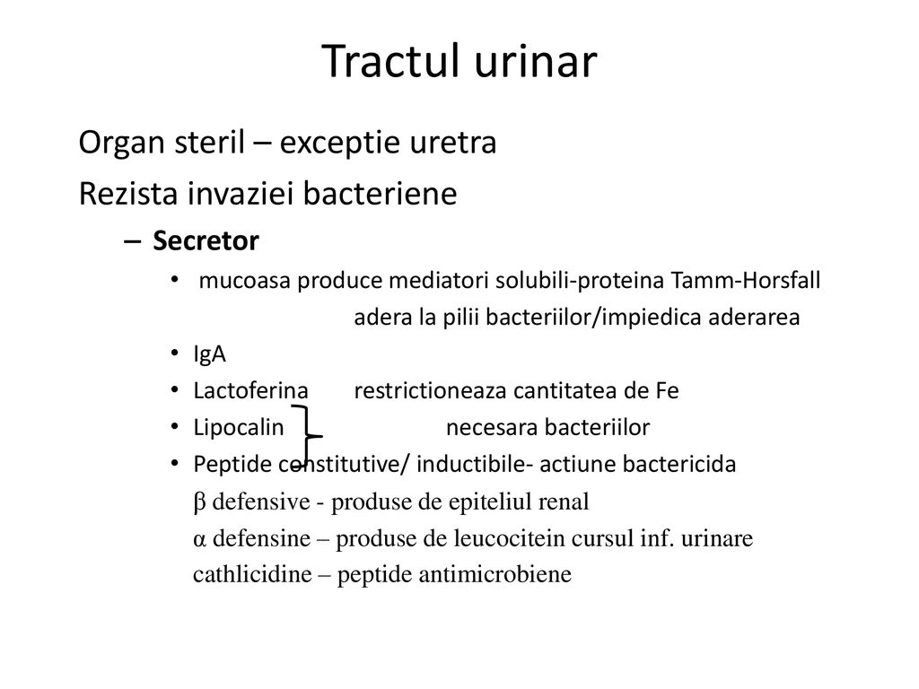 Tractul urinar Organ steril – exceptie uretra