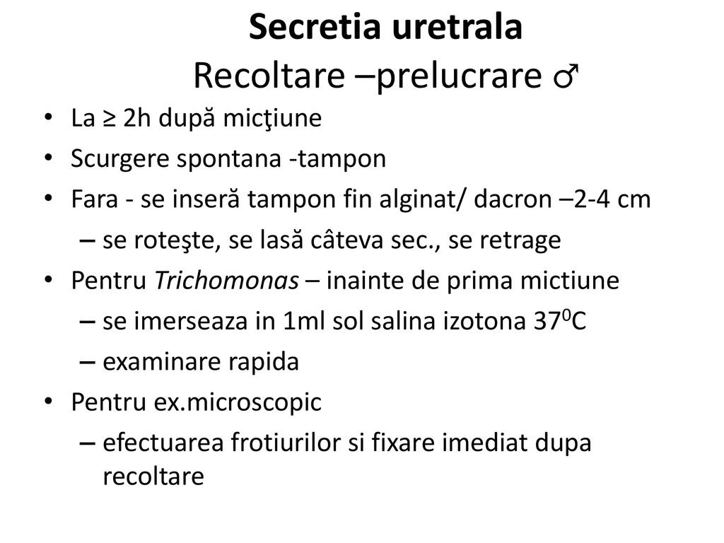 enterococcus spp secretie uretrala)