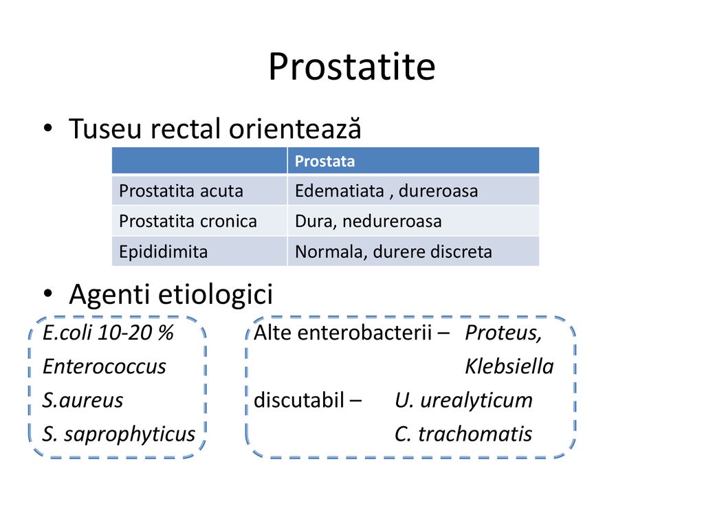 Prostatite Tuseu rectal orientează Agenti etiologici