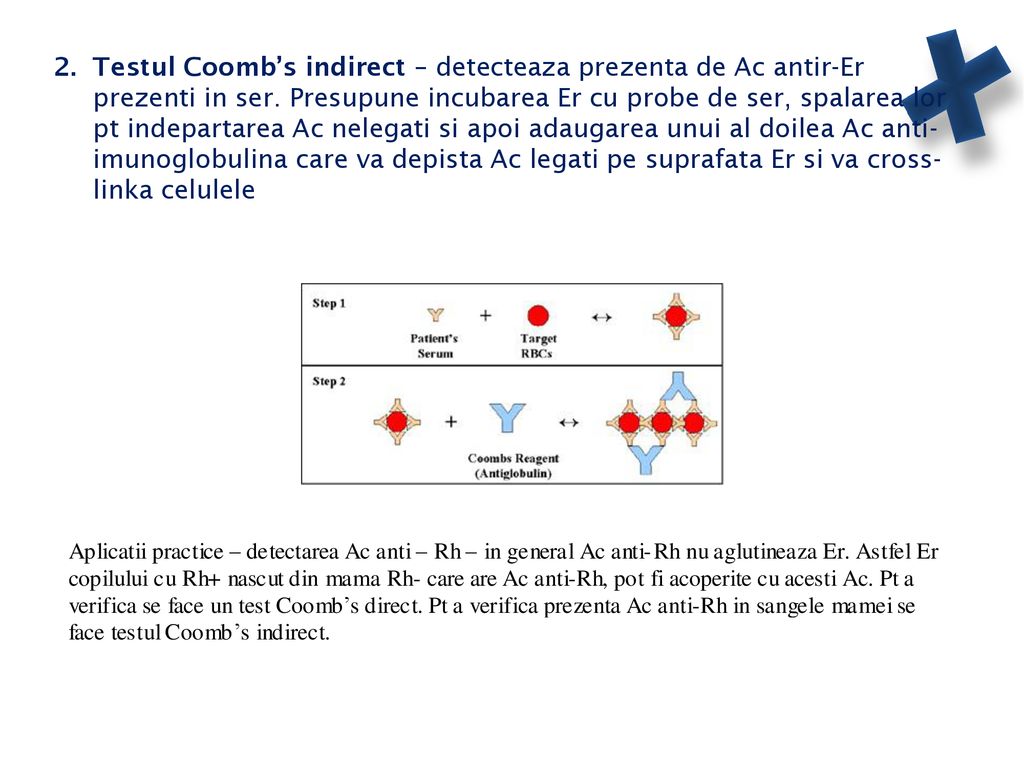 2. Testul Coomb’s indirect – detecteaza prezenta de Ac antir-Er prezenti in ser.