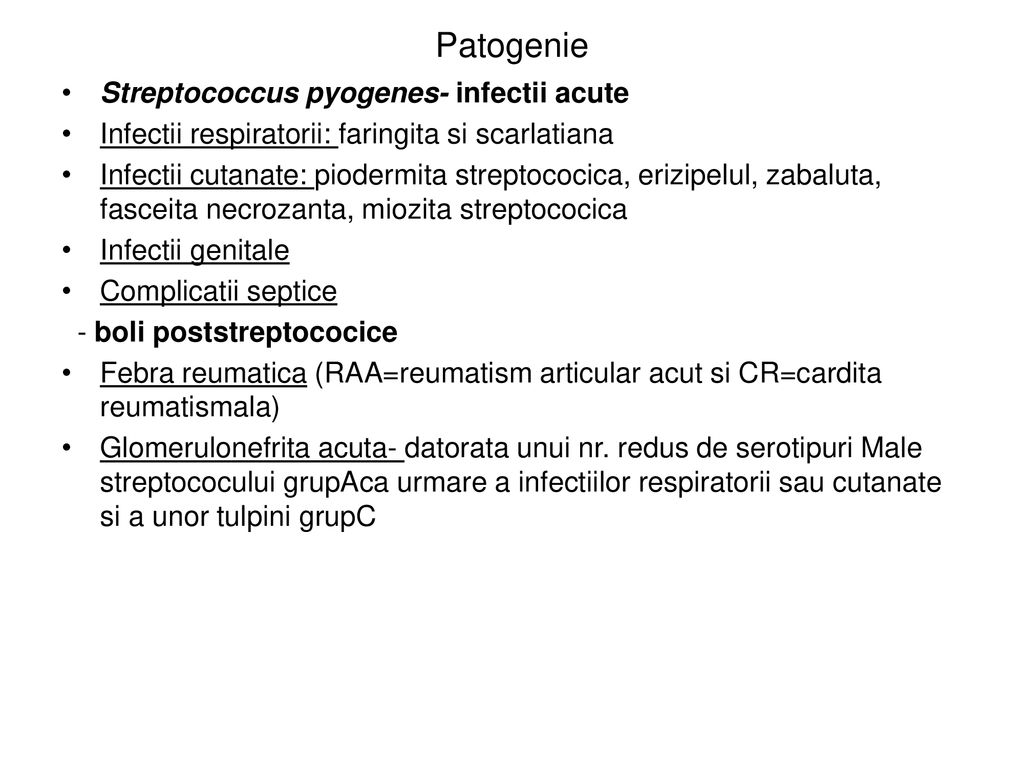 Patogenie Streptococcus pyogenes- infectii acute