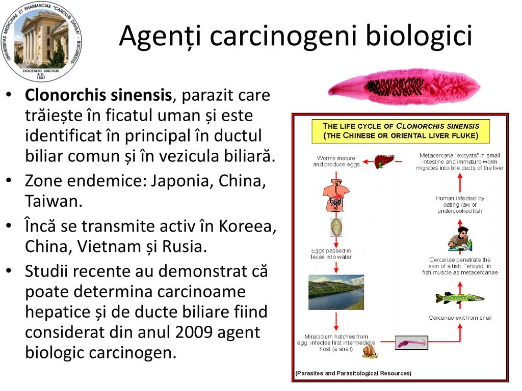 Agenți carcinogeni biologici