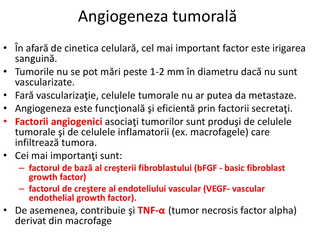 Angiogeneza tumorală În afară de cinetica celulară, cel mai important factor este irigarea sanguină.