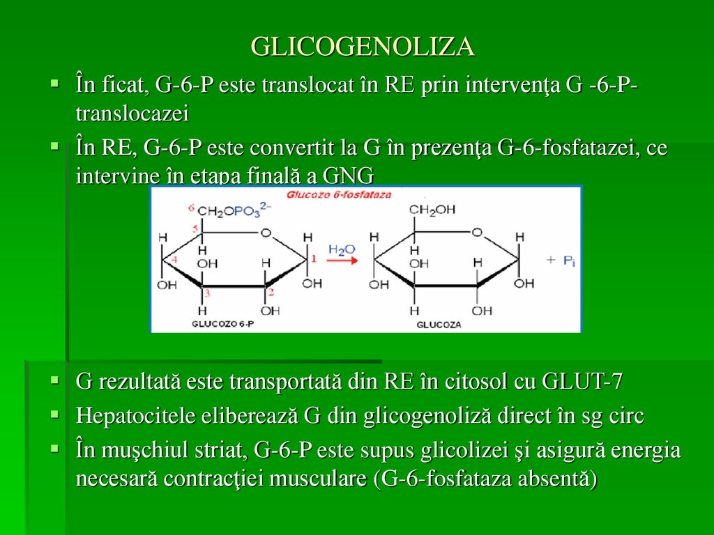 structura glicogenului și biogeneza anti-îmbătrânire
