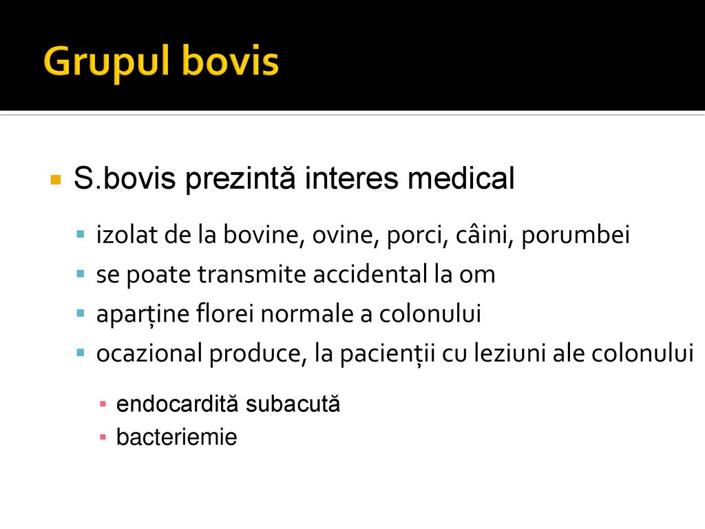 Grupul bovis S.bovis prezintă interes medical