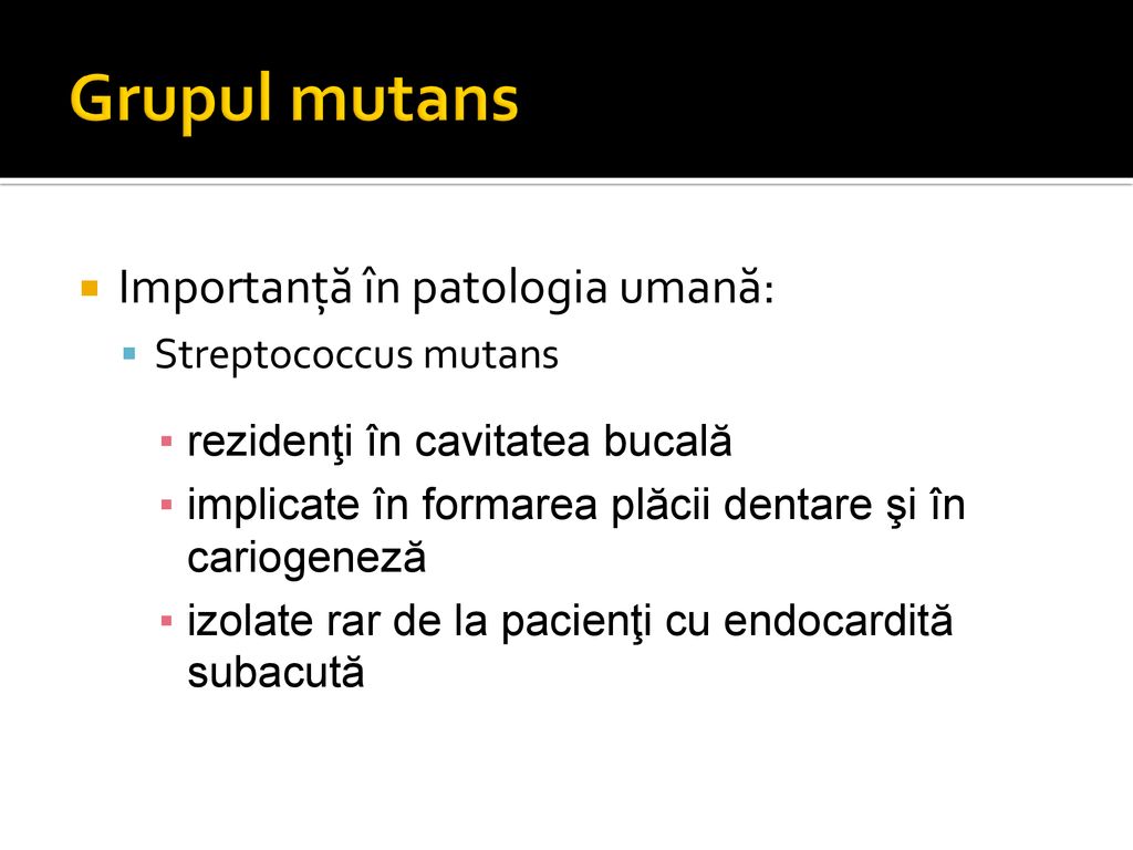 Grupul mutans Importanţă în patologia umană: Streptococcus mutans
