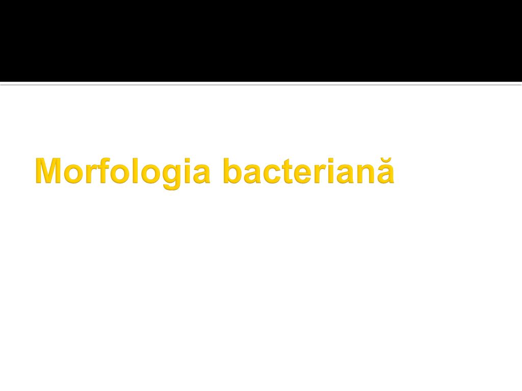 Morfologia bacteriană