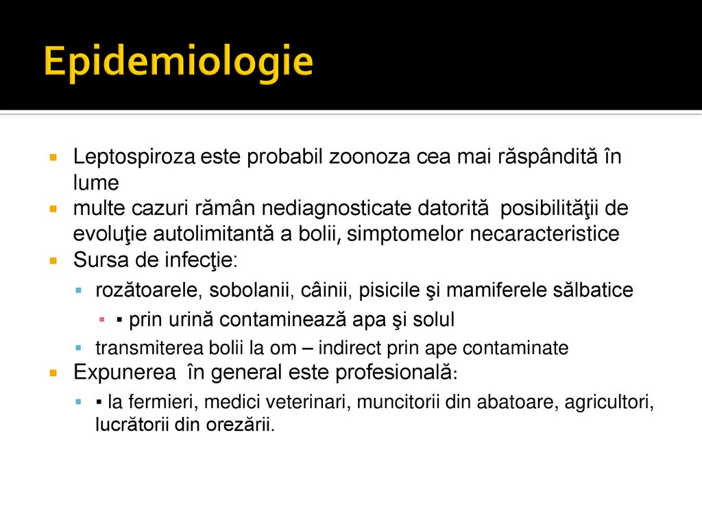 Epidemiologie Leptospiroza este probabil zoonoza cea mai răspândită în lume.