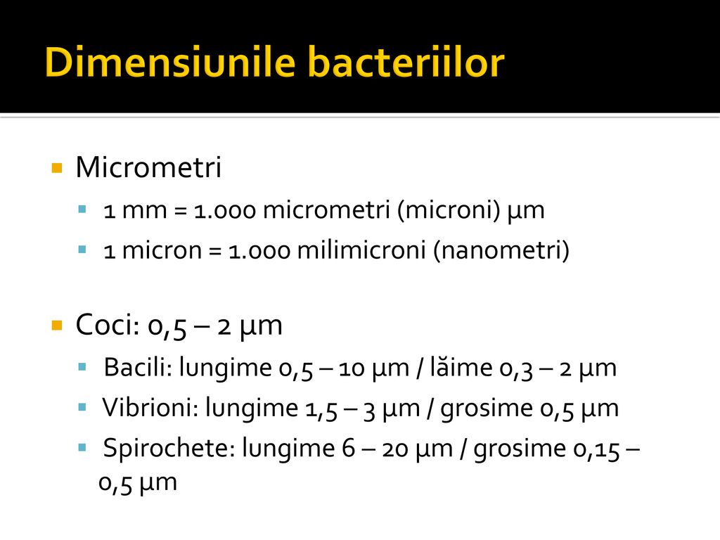 Dimensiunile bacteriilor