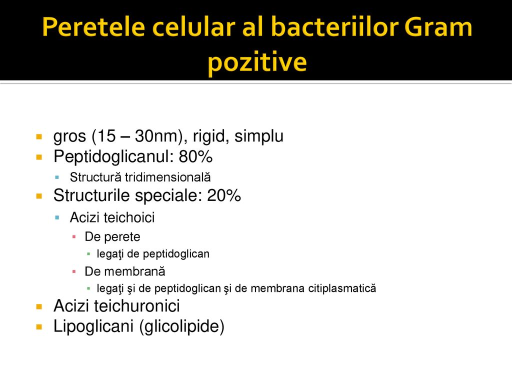 Peretele celular al bacteriilor Gram pozitive