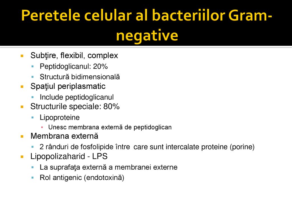 Peretele celular al bacteriilor Gram-negative