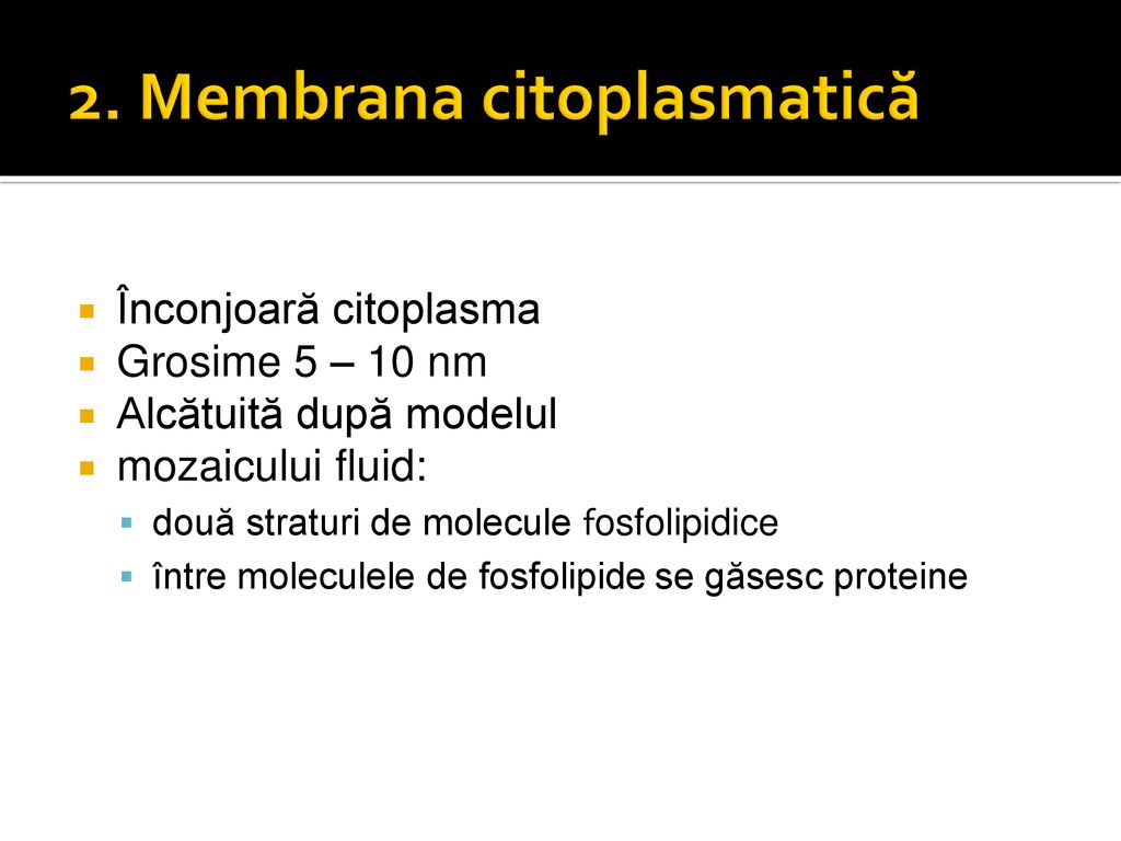 2. Membrana citoplasmatică