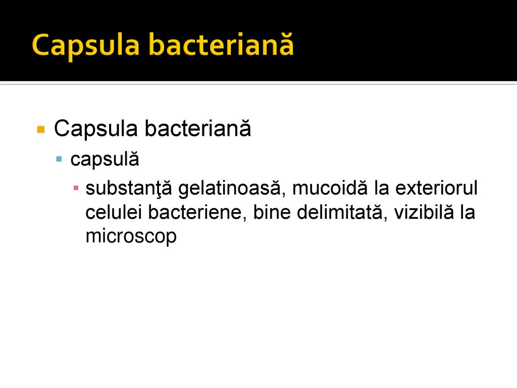 Capsula bacteriană Capsula bacteriană capsulă