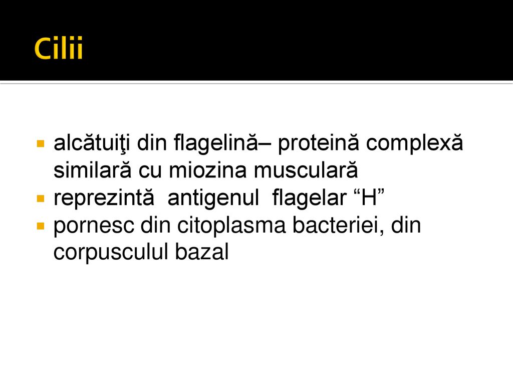 Cilii alcătuiţi din flagelină– proteină complexă similară cu miozina musculară. reprezintă antigenul flagelar H