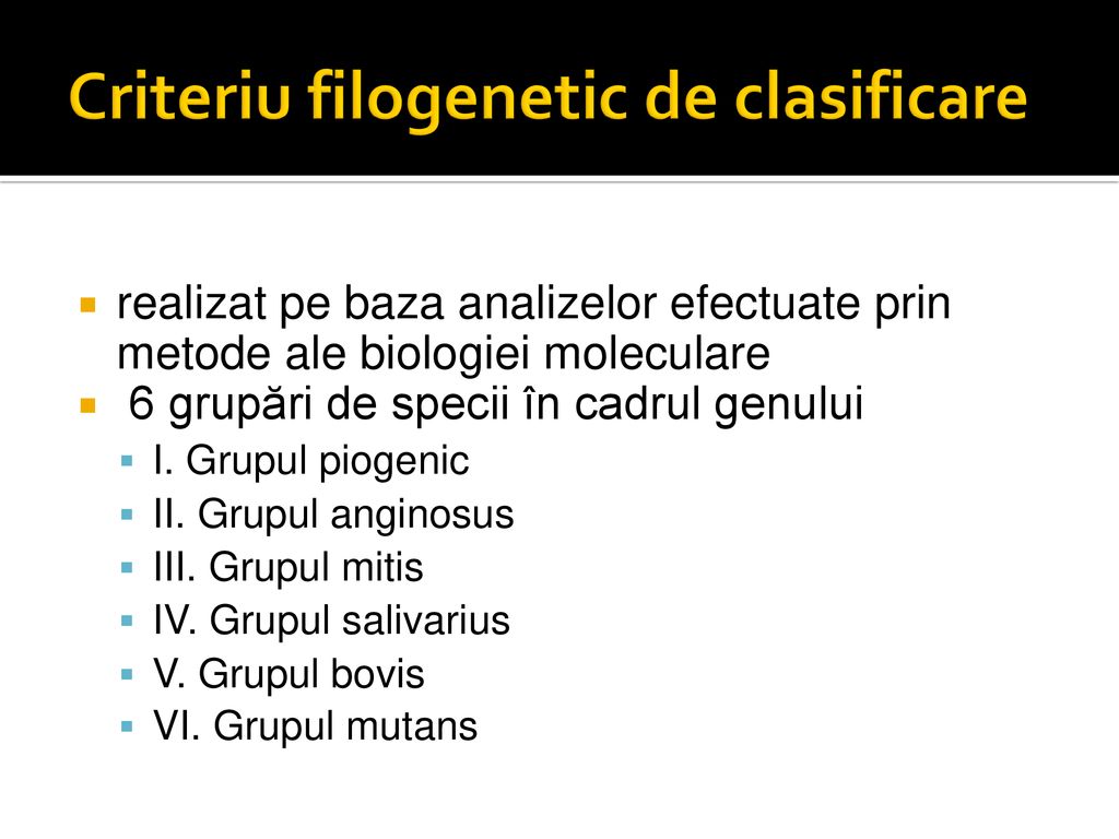 Criteriu filogenetic de clasificare