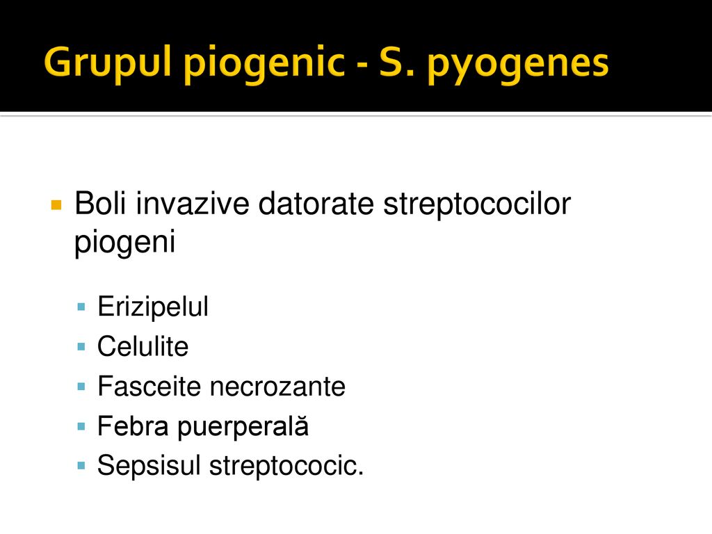Grupul piogenic - S. pyogenes