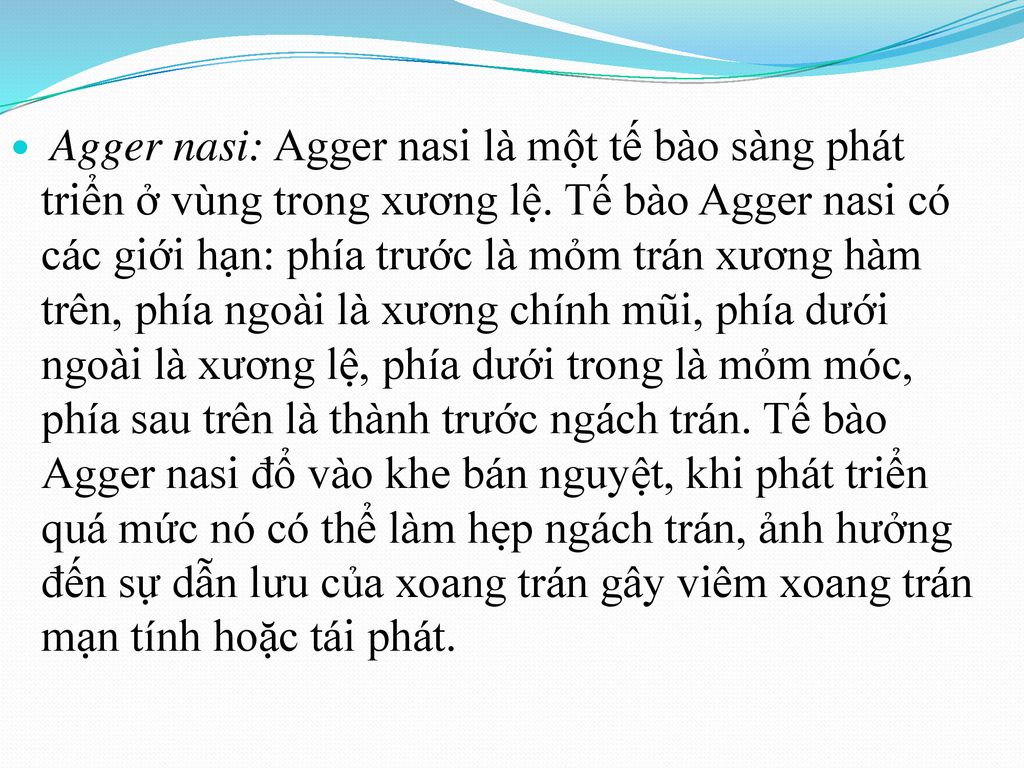 Agger nasi: Agger nasi là một tế bào sàng phát triển ở vùng trong xương lệ.