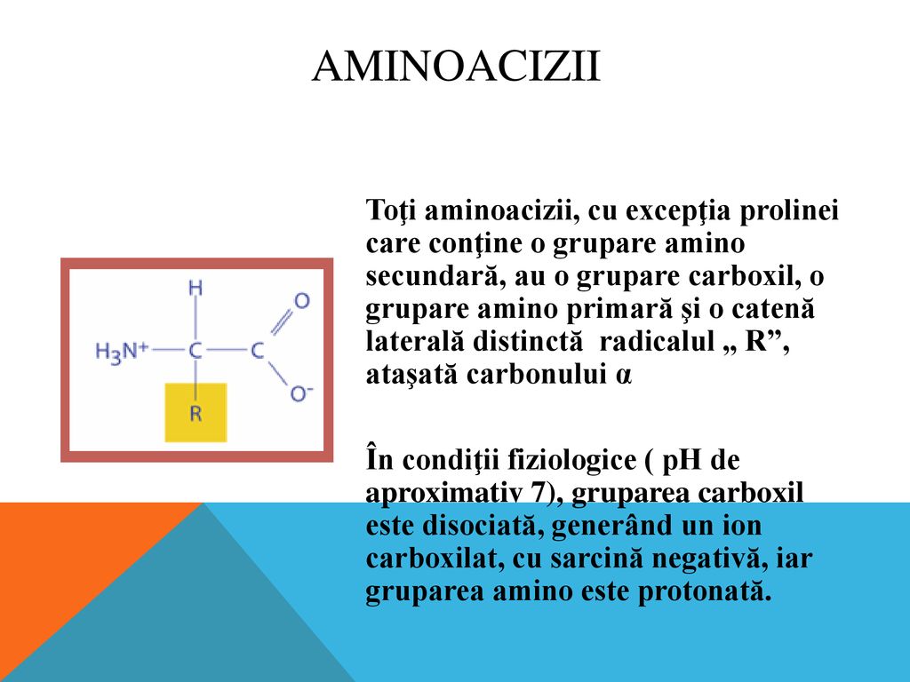 Aminoacizii
