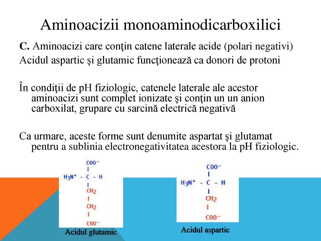 Aminoacizii monoaminodicarboxilici