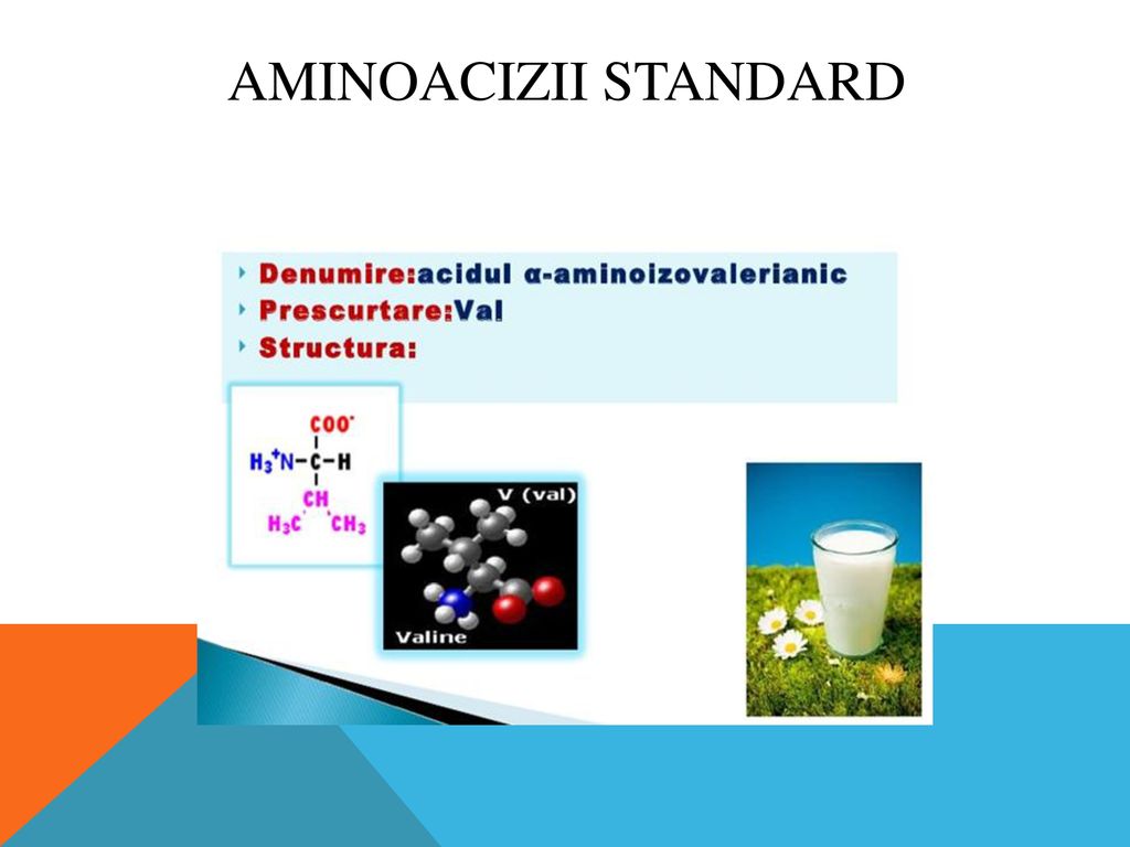 Aminoacizii standard