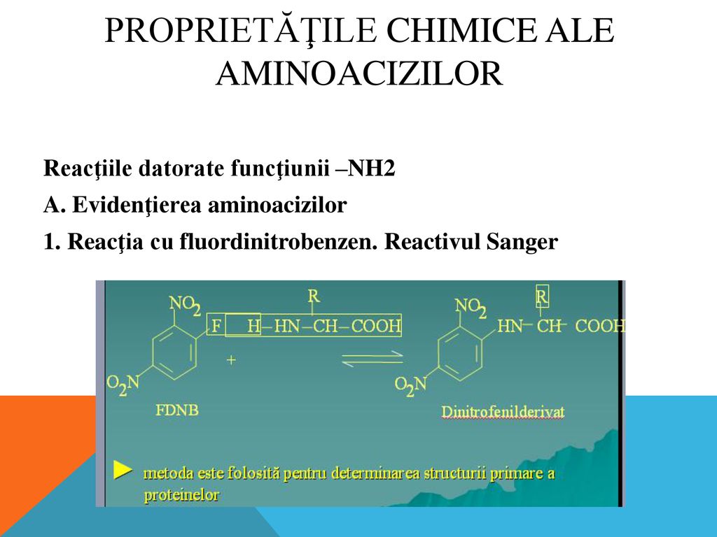 Proprietăţile chimice ale aminoacizilor