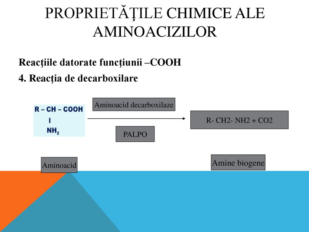 Proprietăţile chimice ale aminoacizilor