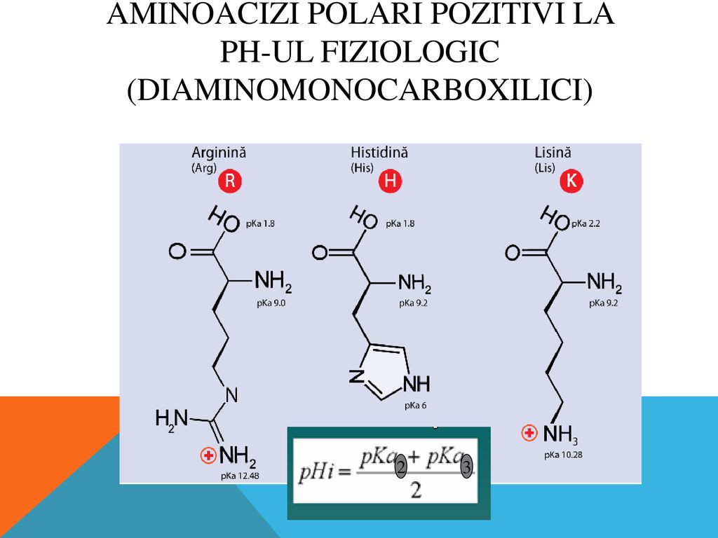 Aminoacizi polari pozitivi la pH-ul fiziologic (diaminomonocarboxilici)