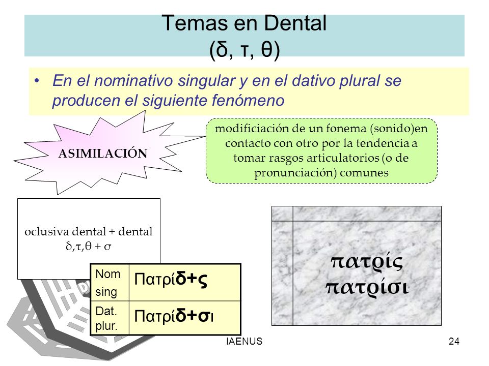 oclusiva dental + dental