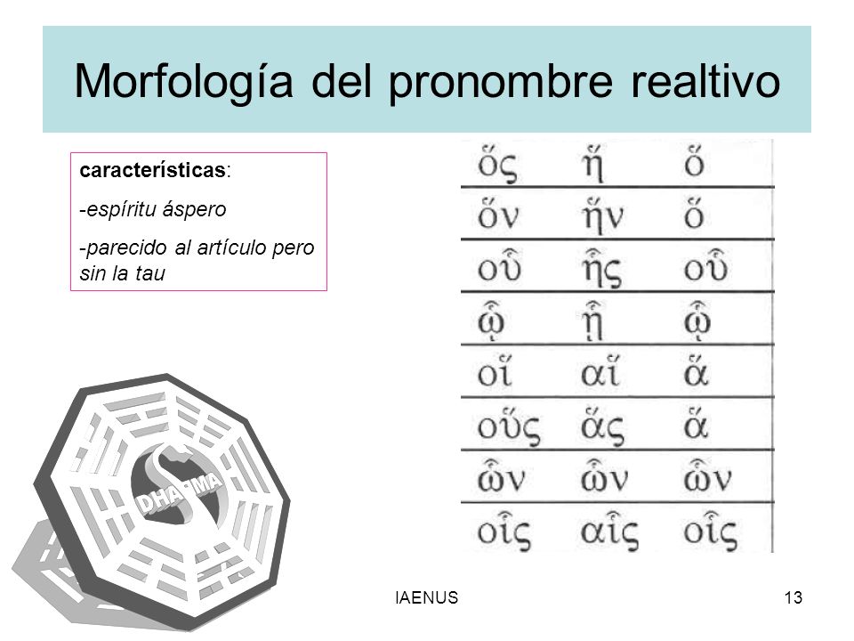Morfología del pronombre realtivo