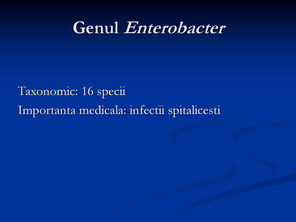 Genul Enterobacter Taxonomic: 16 specii