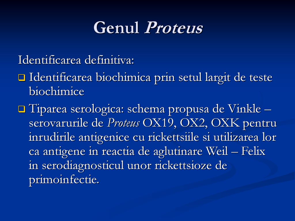 Genul Proteus Identificarea definitiva: