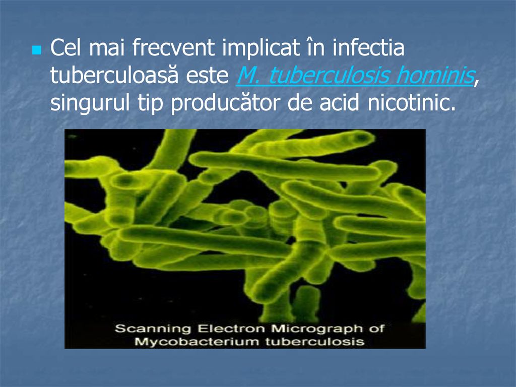 Cel mai frecvent implicat în infectia tuberculoasă este M