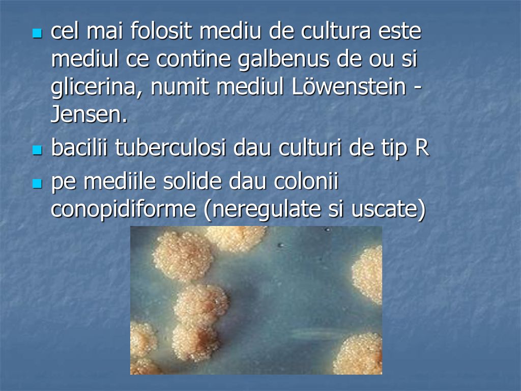 cel mai folosit mediu de cultura este mediul ce contine galbenus de ou si glicerina, numit mediul Löwenstein - Jensen.