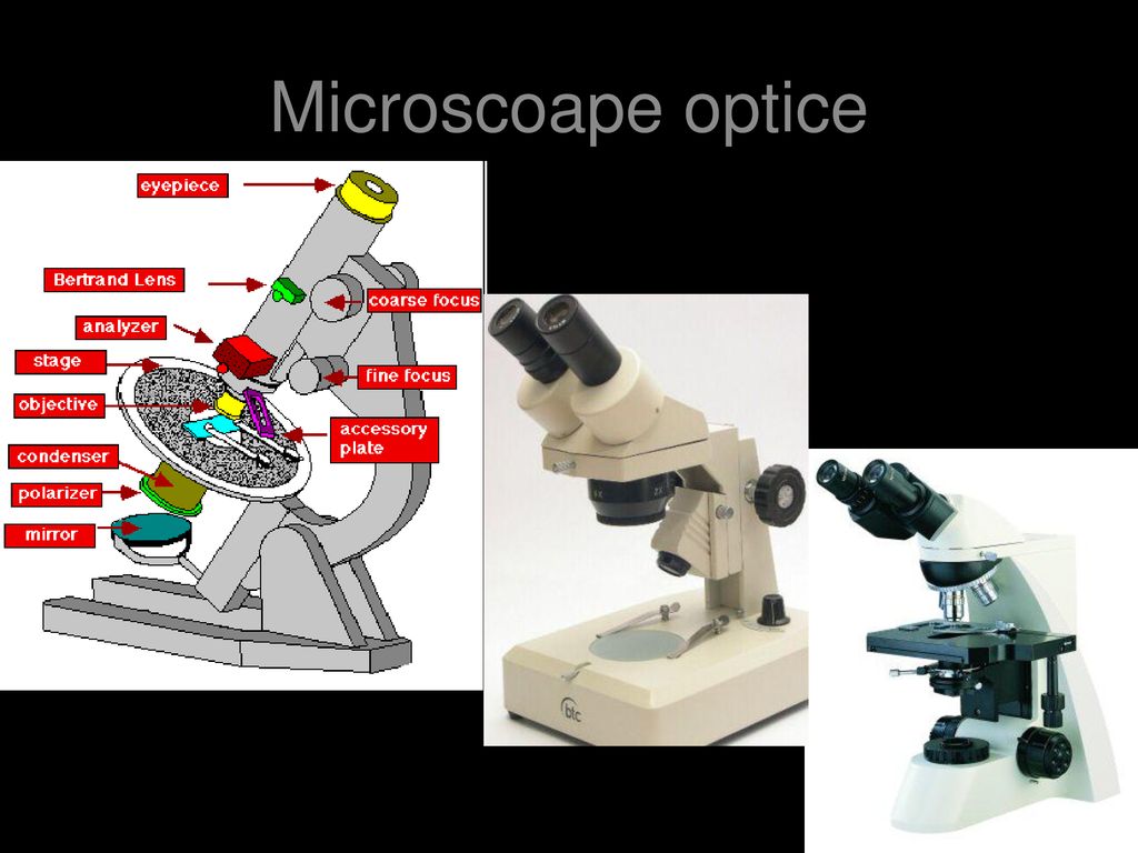 Microscoape optice